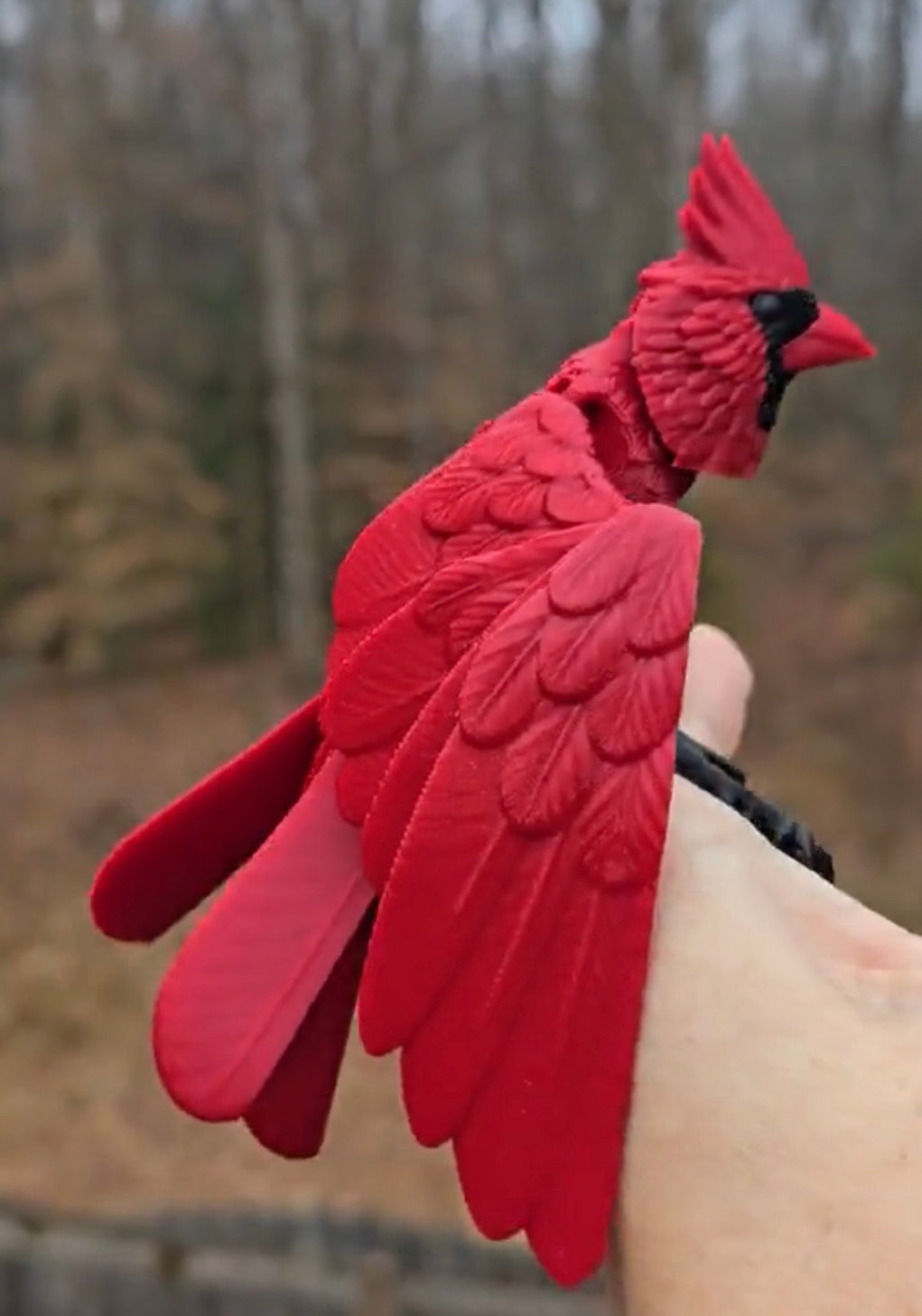 Northern Cardinal 3D Printed Figure Large