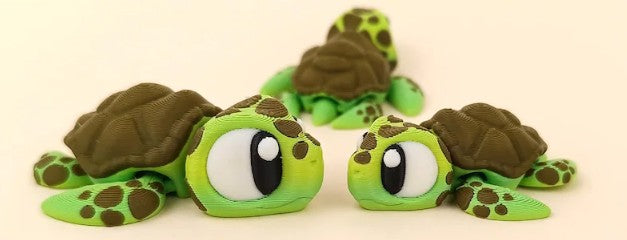 Cute Sea Turtle