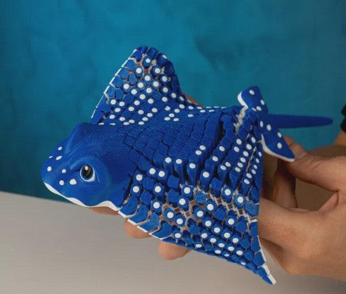 Spotted Eagle Ray
