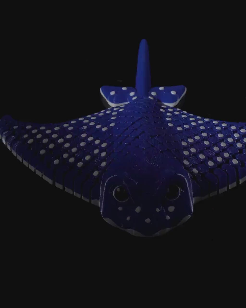 Spotted Eagle Ray